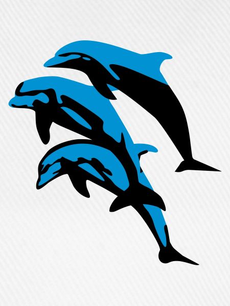 Delfin, Delfine - Dolphin