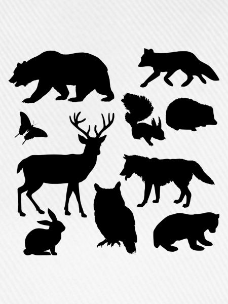 Wildlife