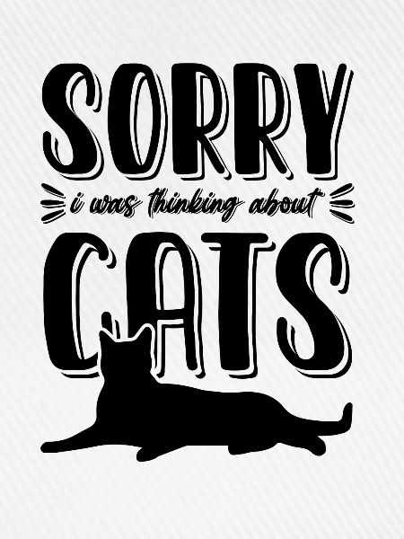 katze katzen witzig