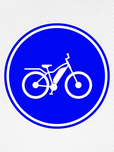 ebike fahrrad