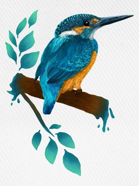 Eisvogel