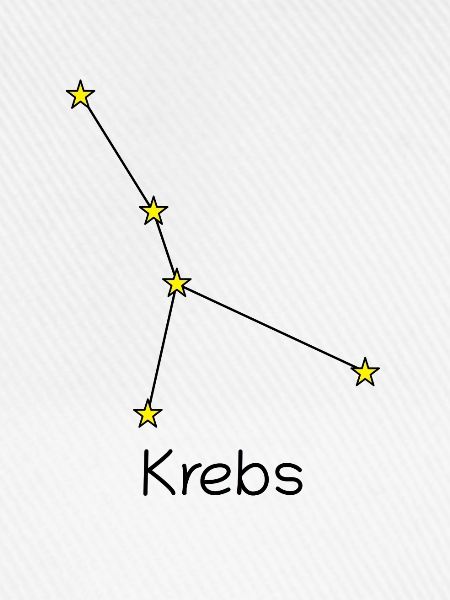 Sternzeichen Krebs
