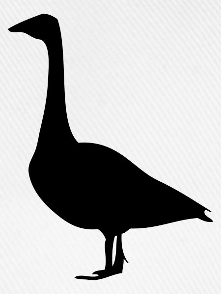 Gans