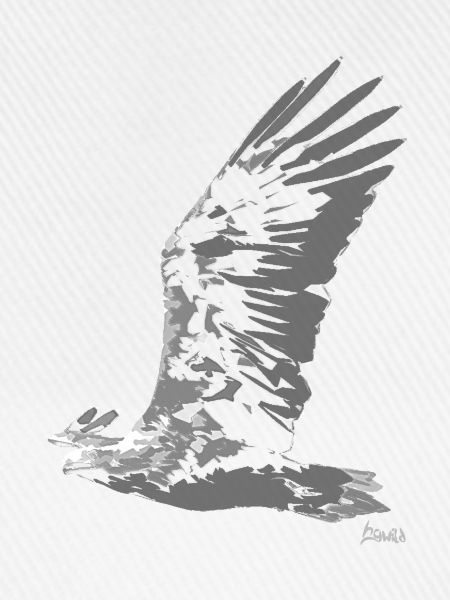 HGWild - Seeadler