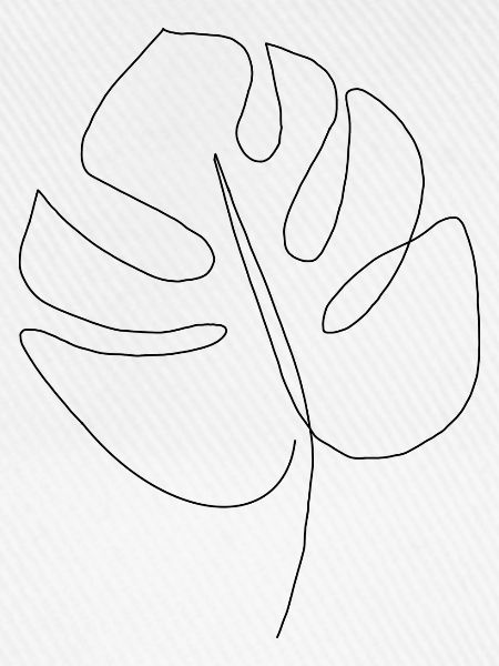 pflanze