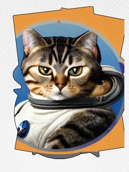 Weltraum Katze