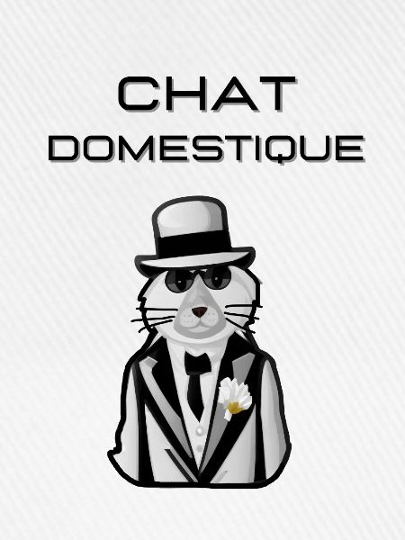 Hauskatze
