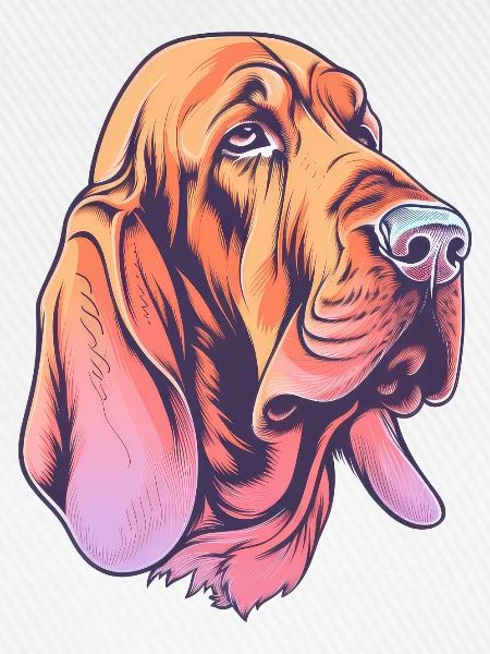 Bloodhound