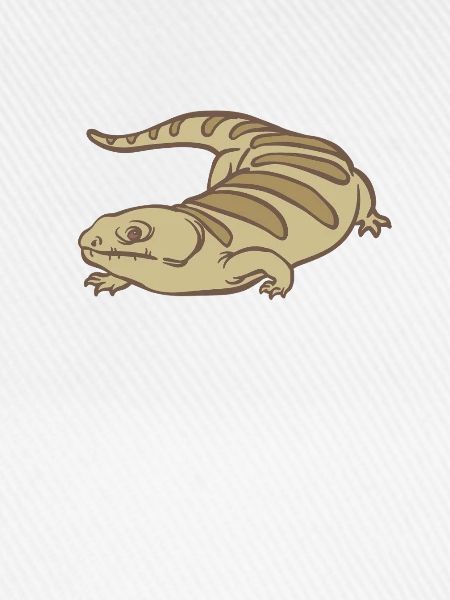 Faszinierender und Einzigartiger Skink