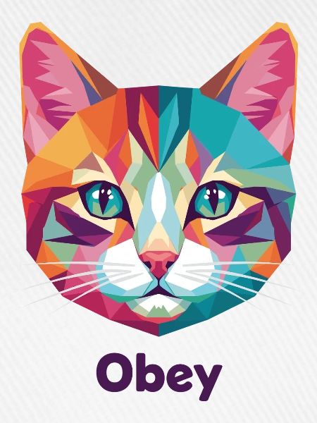 Geometrischer Katzenkopf mit Obey-Text