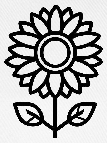 Sonnenblume