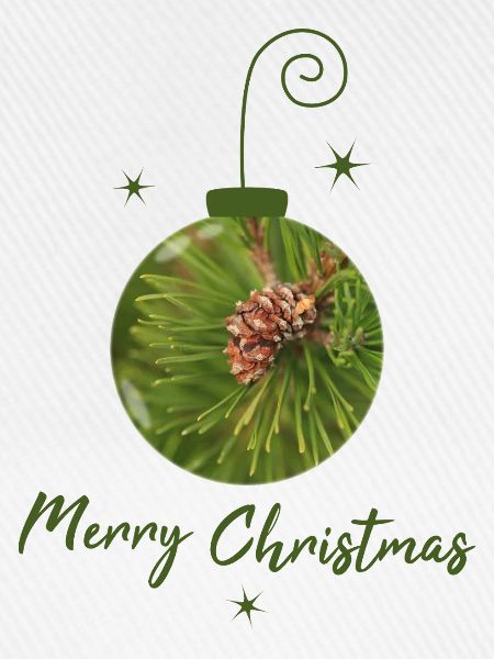 Grüne Weihnachtskugel mit Tannenzapfen
