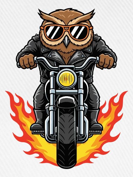 Cool Biker Owl Motorradflammen