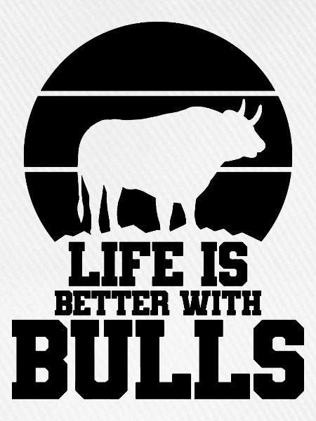Stier Spruch Humor