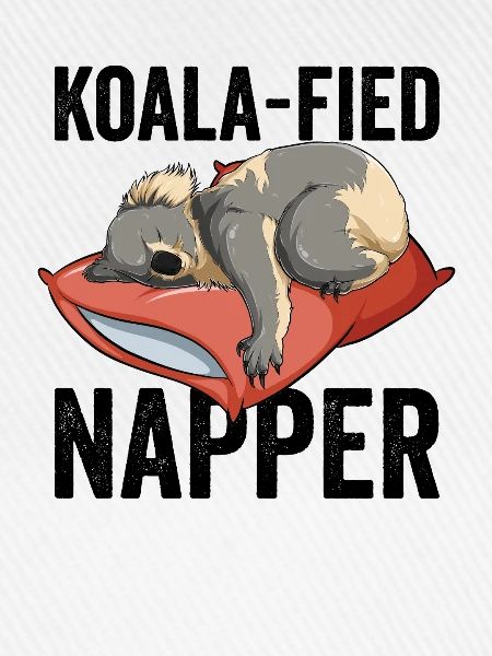 Koala fiziert Napper