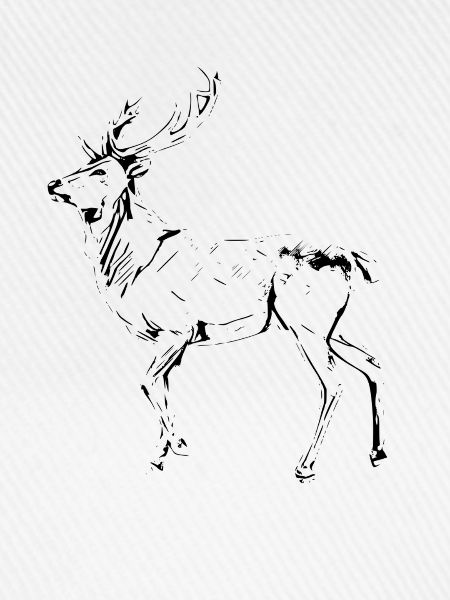 Hirsch