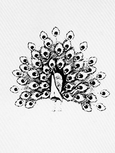 Pfau