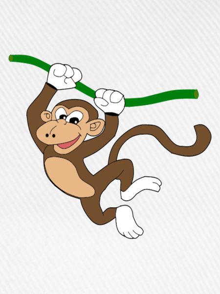Monkey