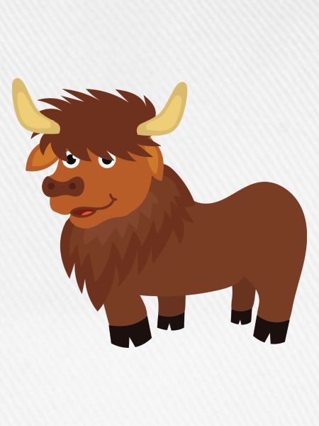 Bison