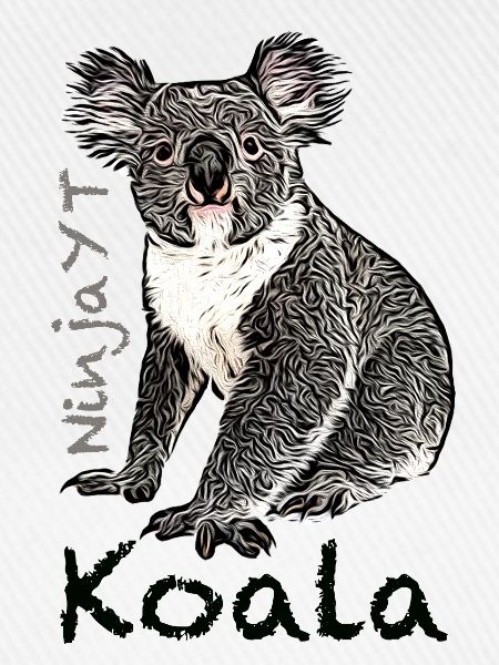 Koala Ninja YouTube