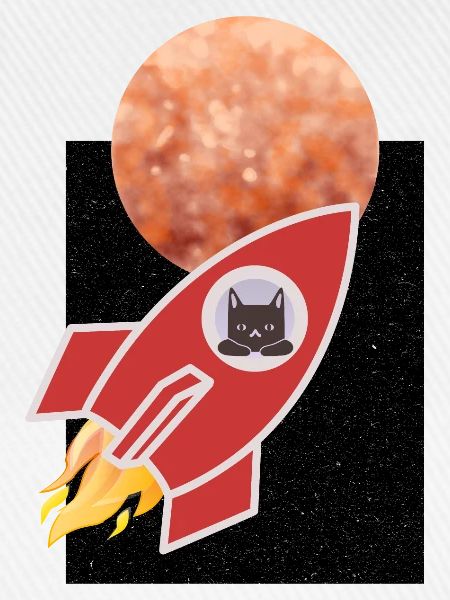 Space Cat