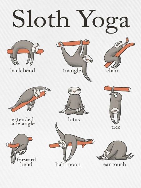 Faultier Yoga