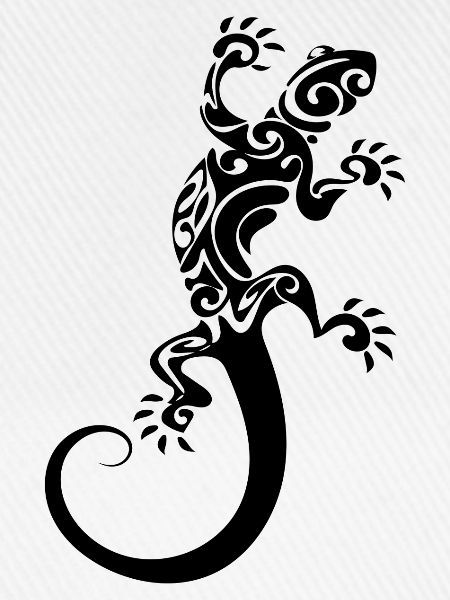 Salamander