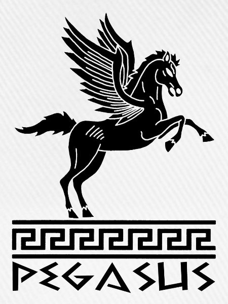 Pferd Schwarz Pegasus