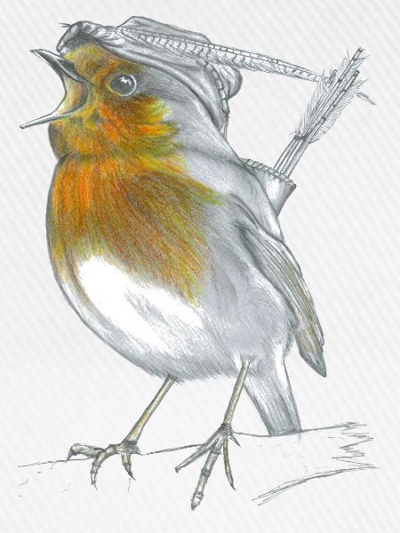 Rotkehlchen Robin Hood