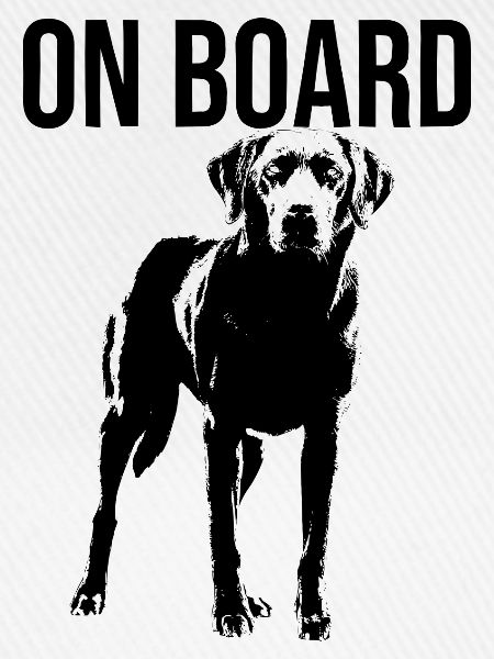 Dog On Board