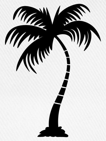 Palme