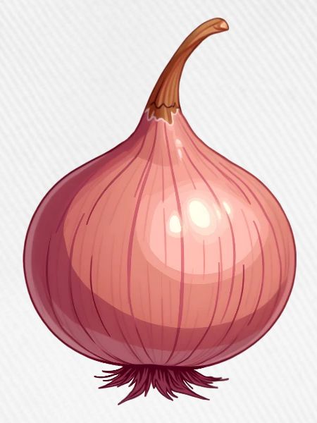 Zwiebel