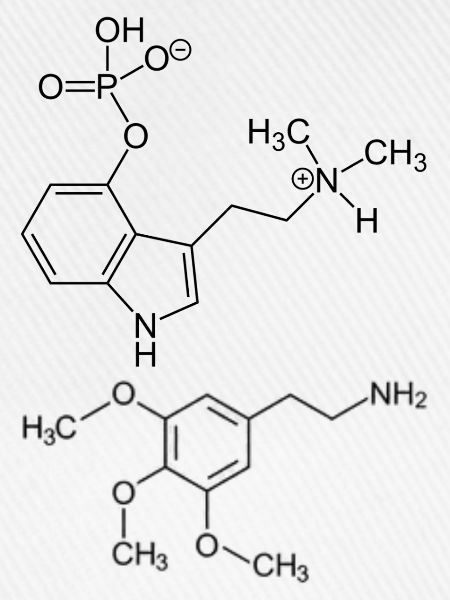 Psilocybin- und Meskalinmoleküle