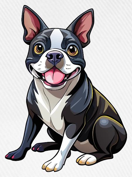 Boston Terrier Hundesitting