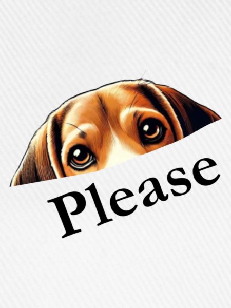 Beagle Please