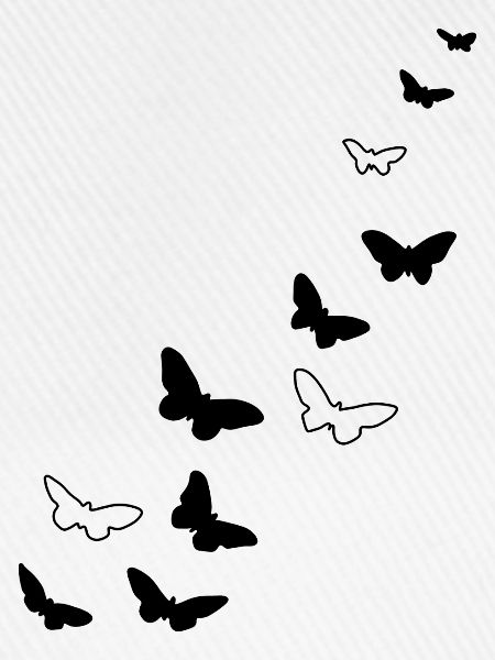 Schmetterlinge Frei Warm Frühling