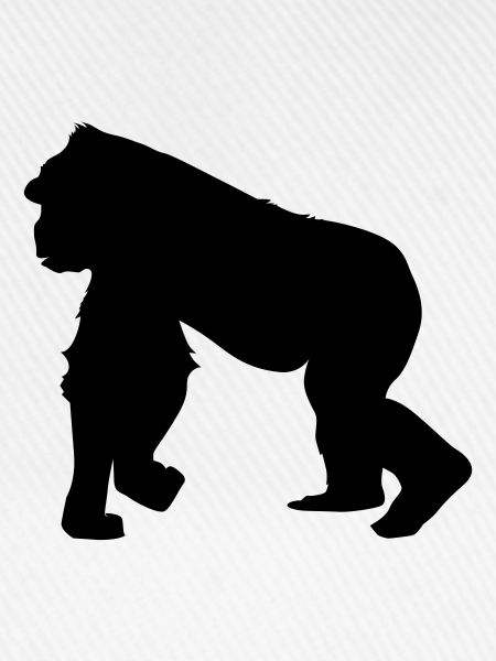 gorilla