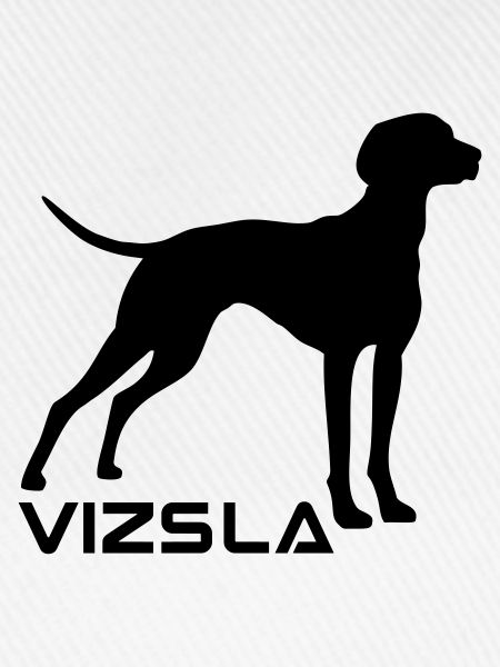 Vizsla