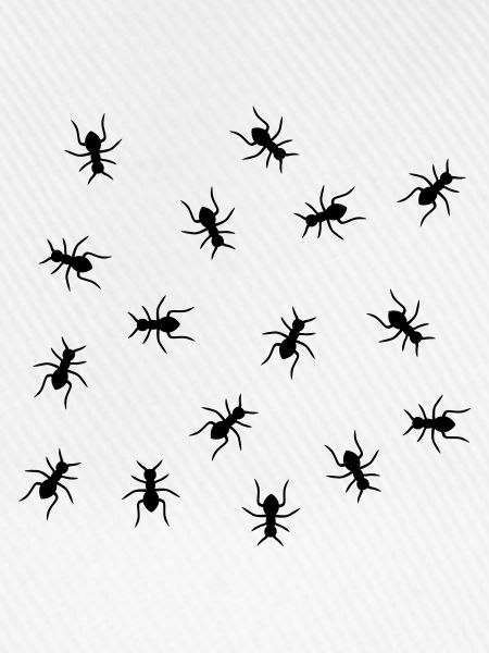 Ants Design