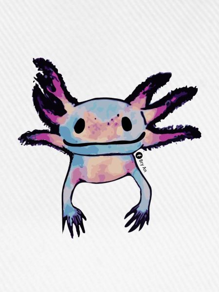 AJOLOTE