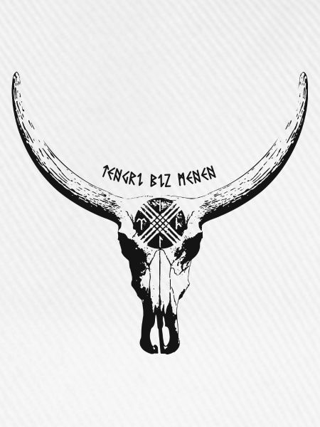 Tengri