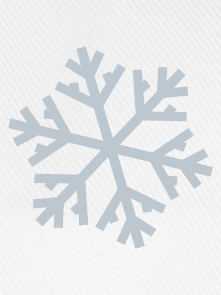 Schneeflocke