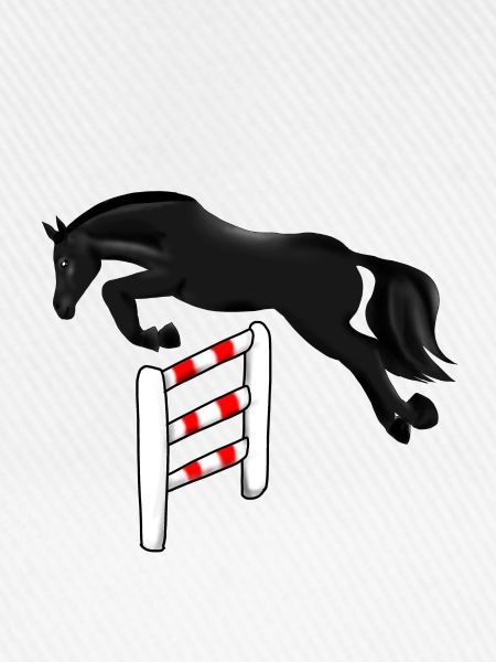 Springreiten
