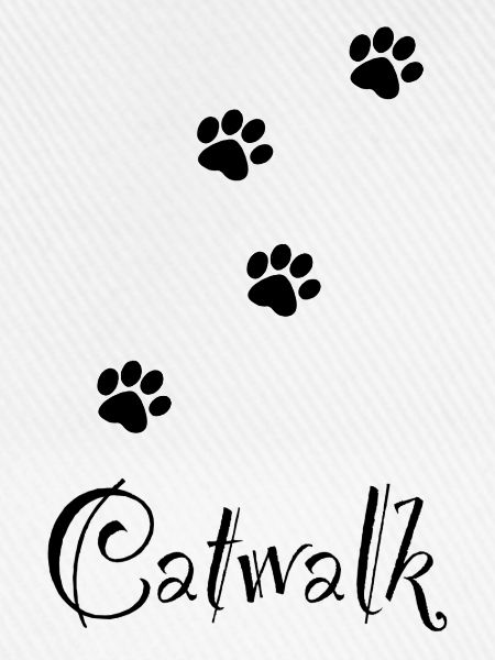 Catwalk 1