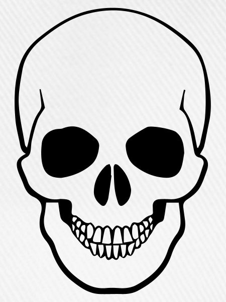 skull