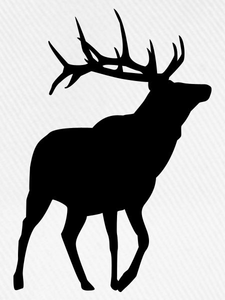 Hirsch