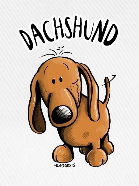 Drolliger Dachshund - Dackel - Teckel