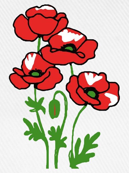 Mohnblumen
