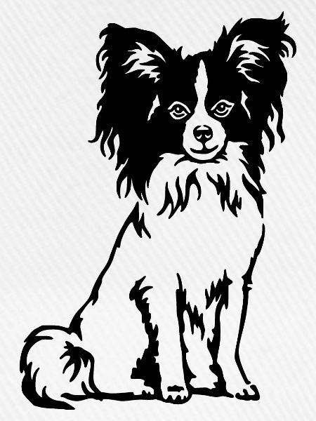 Papillon Spaniel