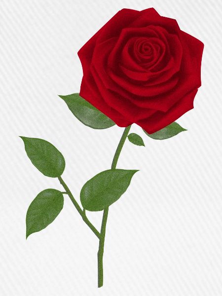 Rosen